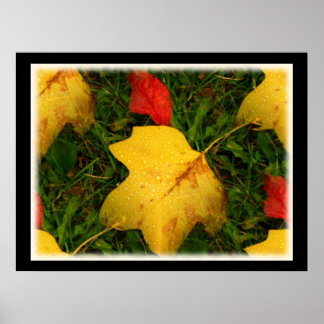 Poster des feuilles d'automne des chutes de pluie