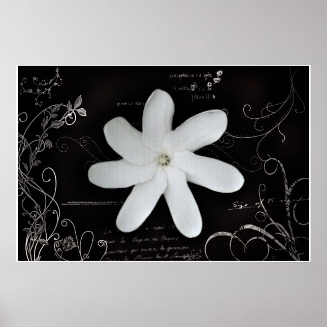 Poster des fleurs (Devant)