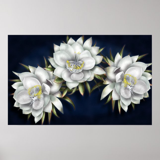 Poster des fleurs blanches (Devant)