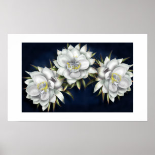 Poster des fleurs blanches