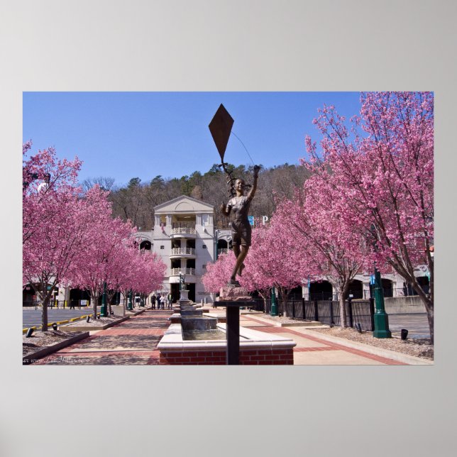 Poster des fleurs de cerisiers dans Hot Springs Ar (Devant)