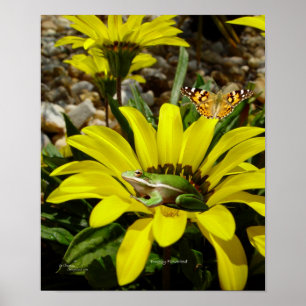 Poster des fleurs de papillon de grenouille