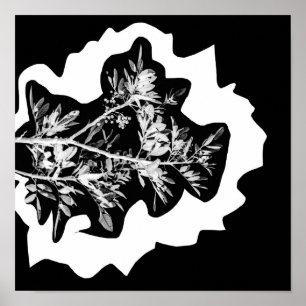 Poster des fleurs de poivre Poster de la nature Fe