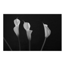 Poster des fleurs noires et blanches