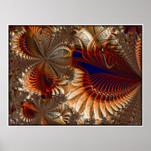 Poster Des fougères à pierres.