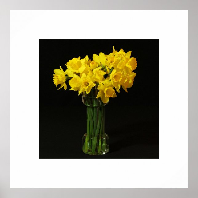 Poster des jonquilles (Devant)