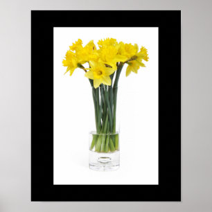 Poster des jonquilles