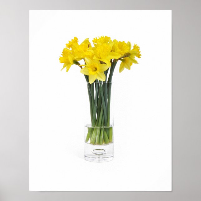 Poster des jonquilles (Devant)