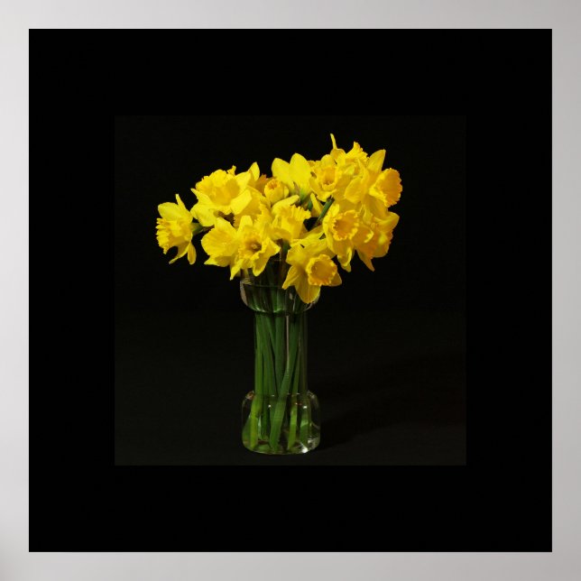 Poster des jonquilles (Devant)