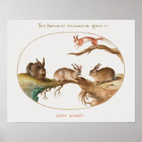 Poster des lapins mignons