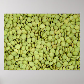Poster des lentilles