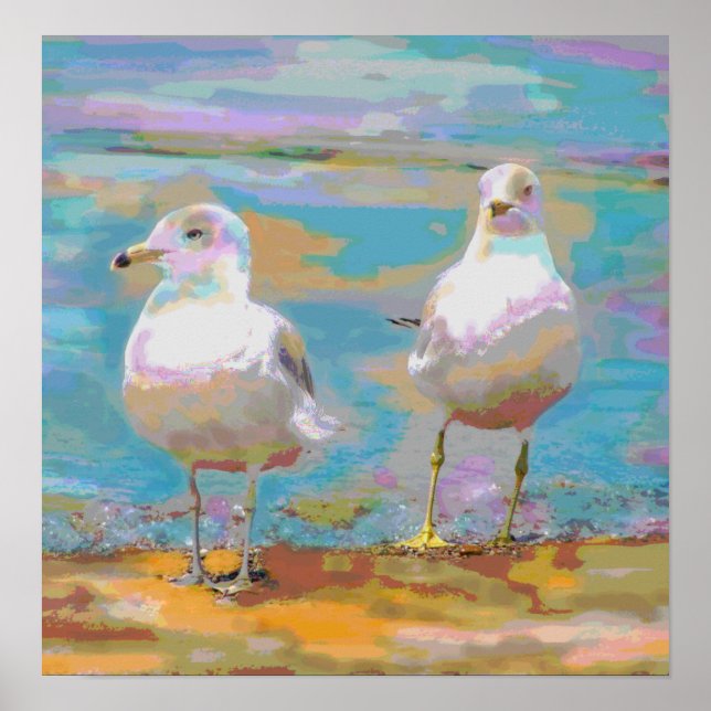 Poster des mouettes (Devant)