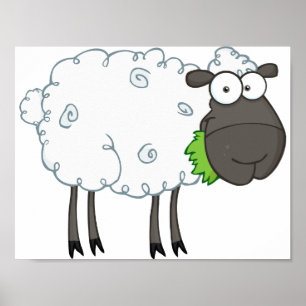 Poster des moutons laineux