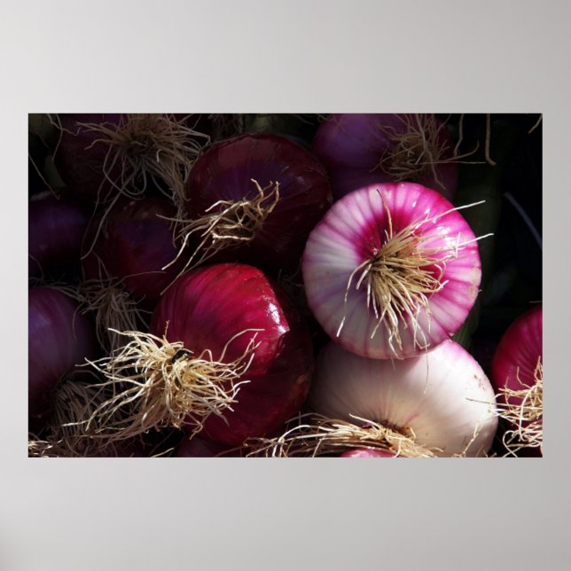 Poster des oignons rouges (Devant)