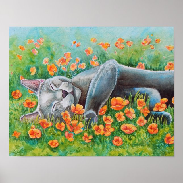 Poster des pavots (Devant)