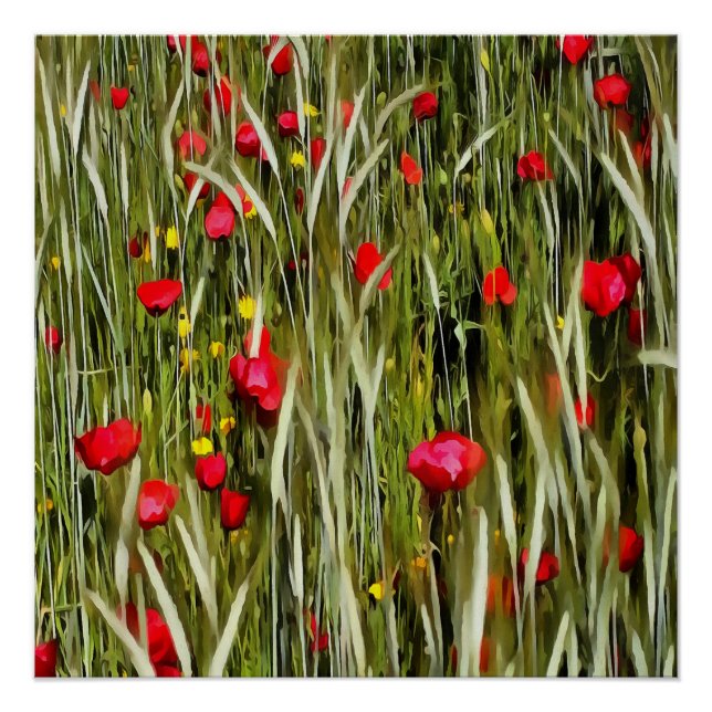 Poster Des Pépites Rouges Dans Une Peinture En Champ Roul (Devant)