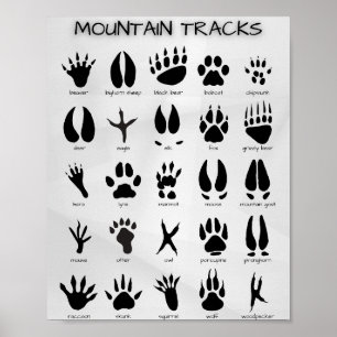 Poster des pistes de montagne