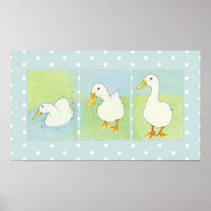 Poster des points de canards blancs