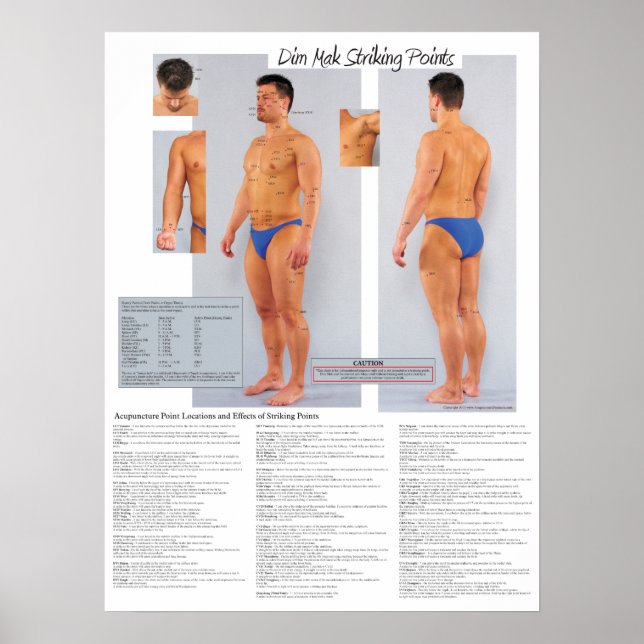 Poster des points de frappes de la mort Dim Mak 18 (Devant)