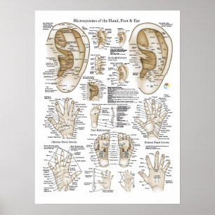 Poster des points de microsystème Acupuncture