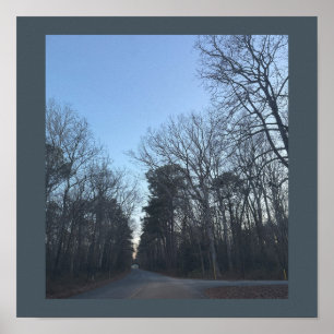 Poster des rangées d'arbres