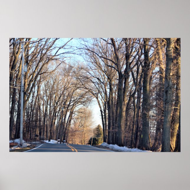 Poster des rangées d'arbres d'hiver (Devant)