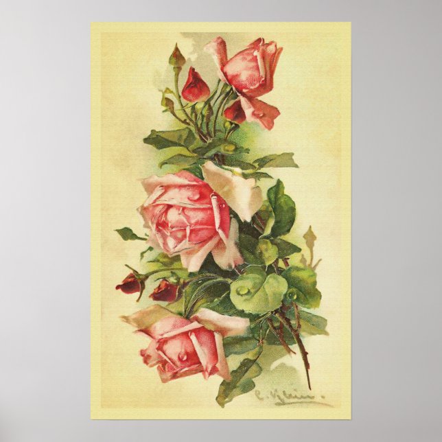 Poster des Roses vintages avec Dew Drops (Devant)