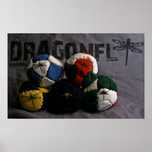 Poster des sacs de pied de libellule