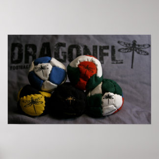 Poster des sacs de pied de libellule