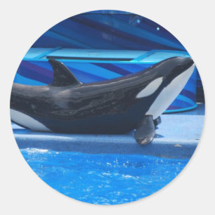 Poster Des Stickers Orca