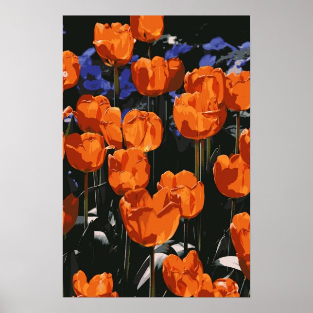 Poster des Tulipes Orange (Devant)
