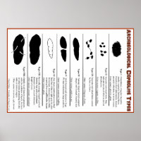Poster des types de coprolite archéologique