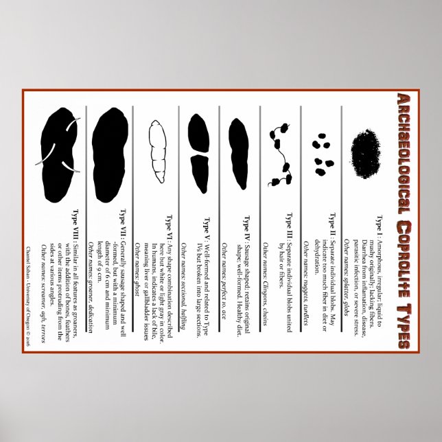 Poster des types de coprolite archéologique (Devant)