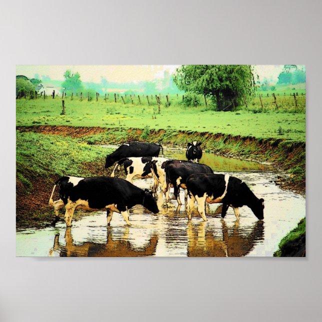 Poster des vaches Amish (Devant)