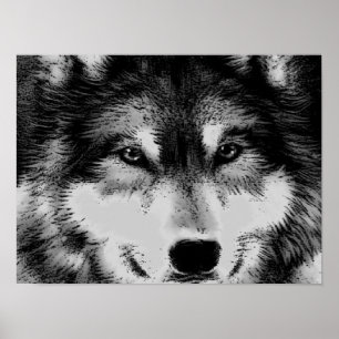 Poster des yeux de loup noir et blanc