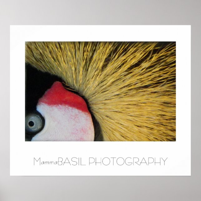 Poster des yeux super ! (Devant)