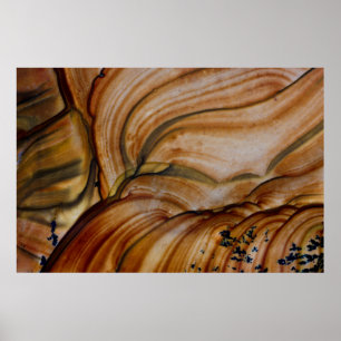 Poster Deschutes Jasper de couleur Brown