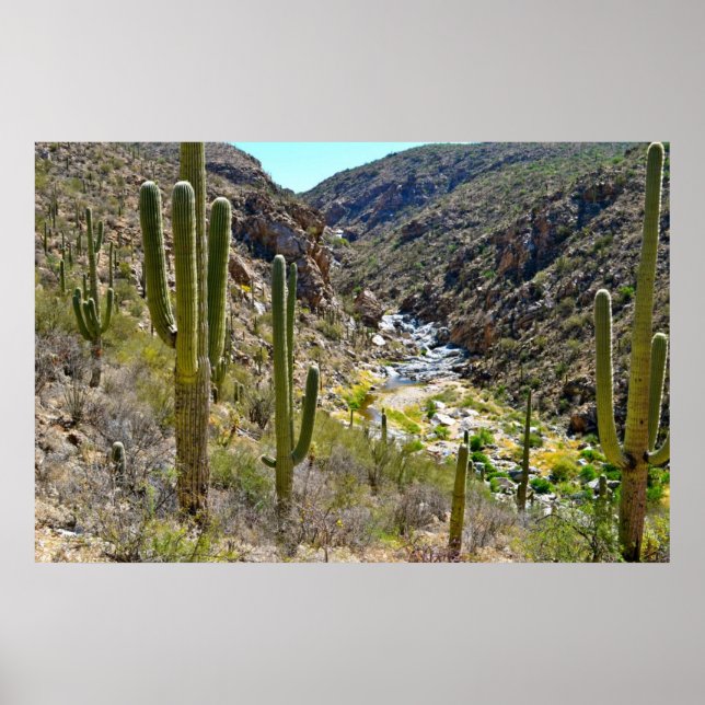 Poster Desert Canyon (Devant)