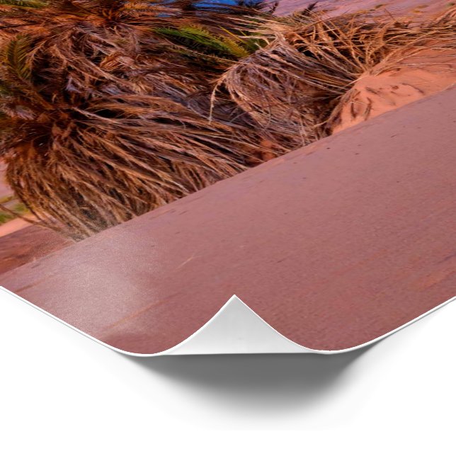 Poster Desert Star Trails : Palm Trees & Pickup Truck Nig (Coin)