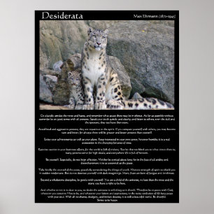 Poster Desiderata deux guépards dans la montagne