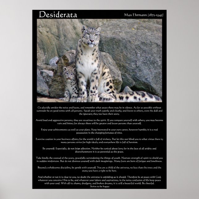Poster Desiderata deux guépards dans la montagne (Devant)