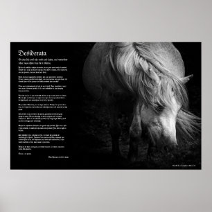 Poster Desiderata - Fine Art Pony Head et Mane