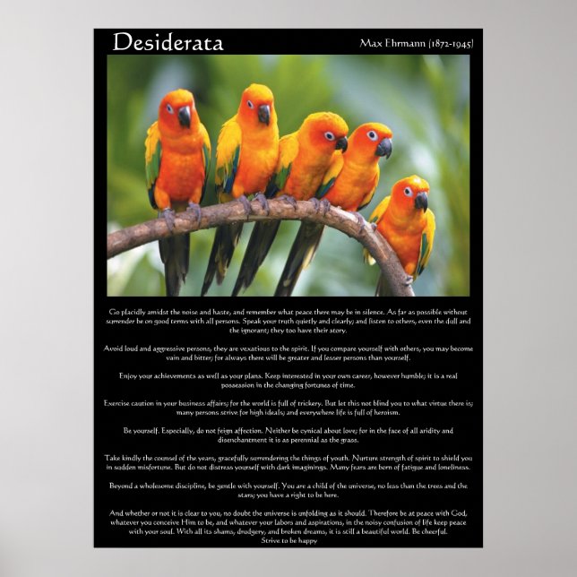 Poster Desiderata  five orange and green canary (Devant)
