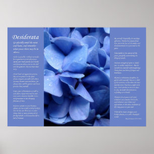 Poster Desiderata - Hydrangea bleu