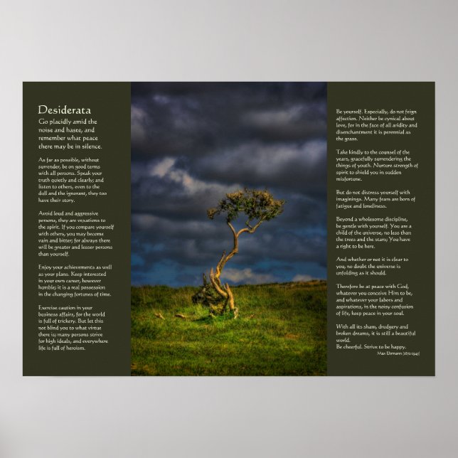 Poster Desiderata - Le Dernier Survivant (Devant)
