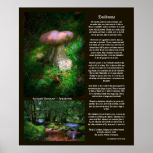 Poster Desiderata - Les vues cachées de Fairytale Dartmoo