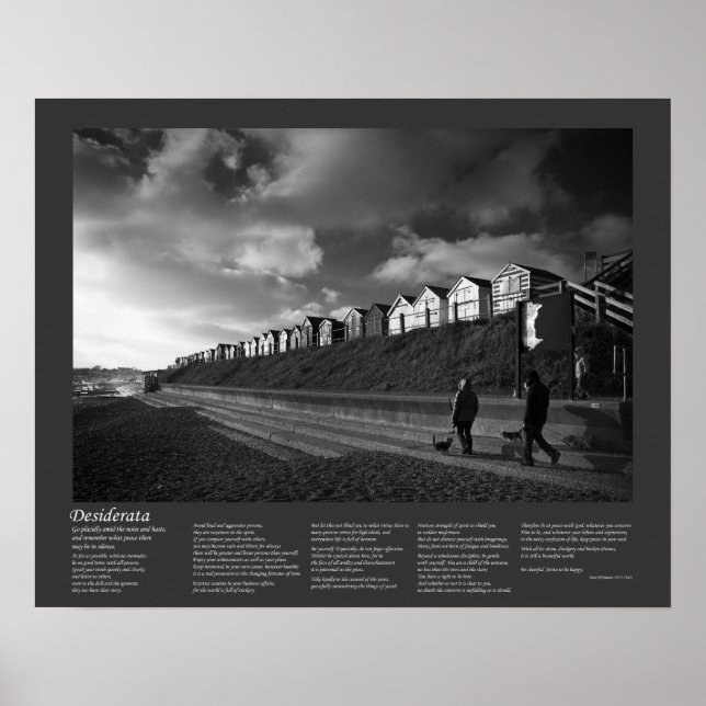 Poster Desiderata - Se Promener Les Chiens (Devant)