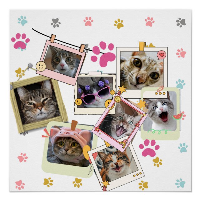 Poster Design de collage de chat mignon et drôle (Devant)