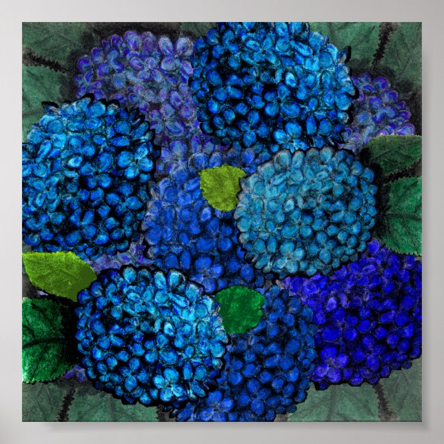 Poster Design floral, Blue Hydrangea Print (Devant)