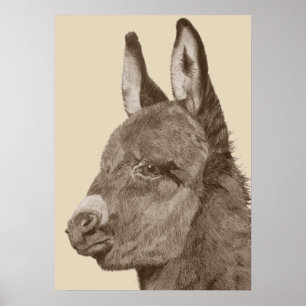 Poster dessin au crayon réaliste d'âne mignon